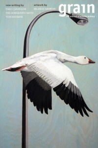 Grain+Front+Cover_41_3